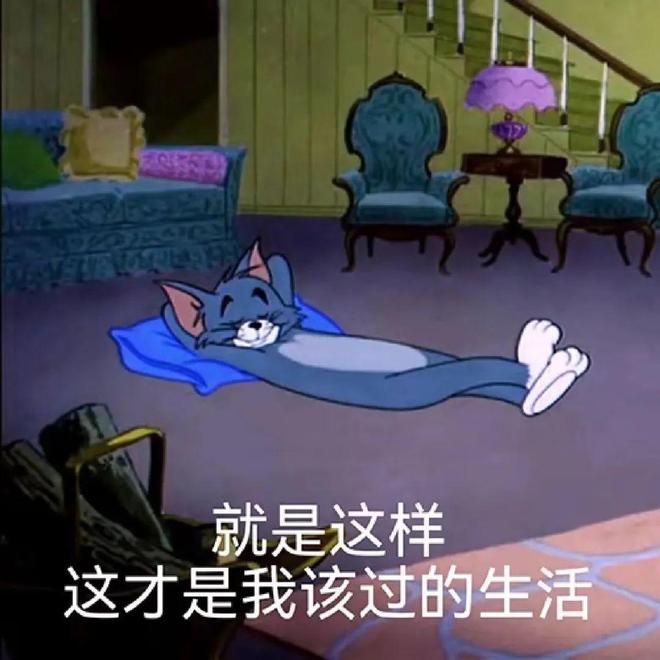 舒服的小事日子真的会变爽!新葡京花几十块钱解决家里不(图10) 舒服的小事日子真的会变爽!新葡京花几十块钱解决家里不(图10)