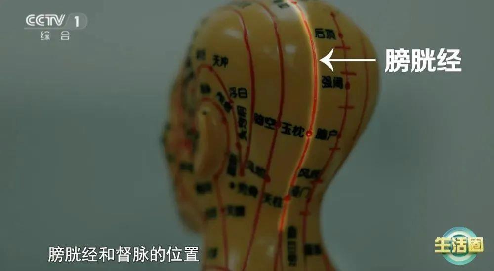 同健康问题 护发与健康小贴士快收藏新葡京网上赌场不同位置白发反映不(图5)