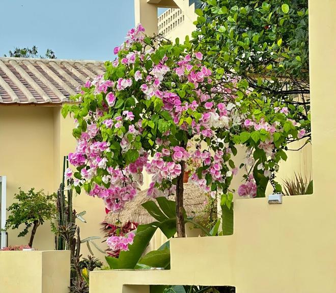 ？北海亲子游5天4晚价格跟团五日游报价澳门新葡京app北海亲子跟团游多少钱(图6)